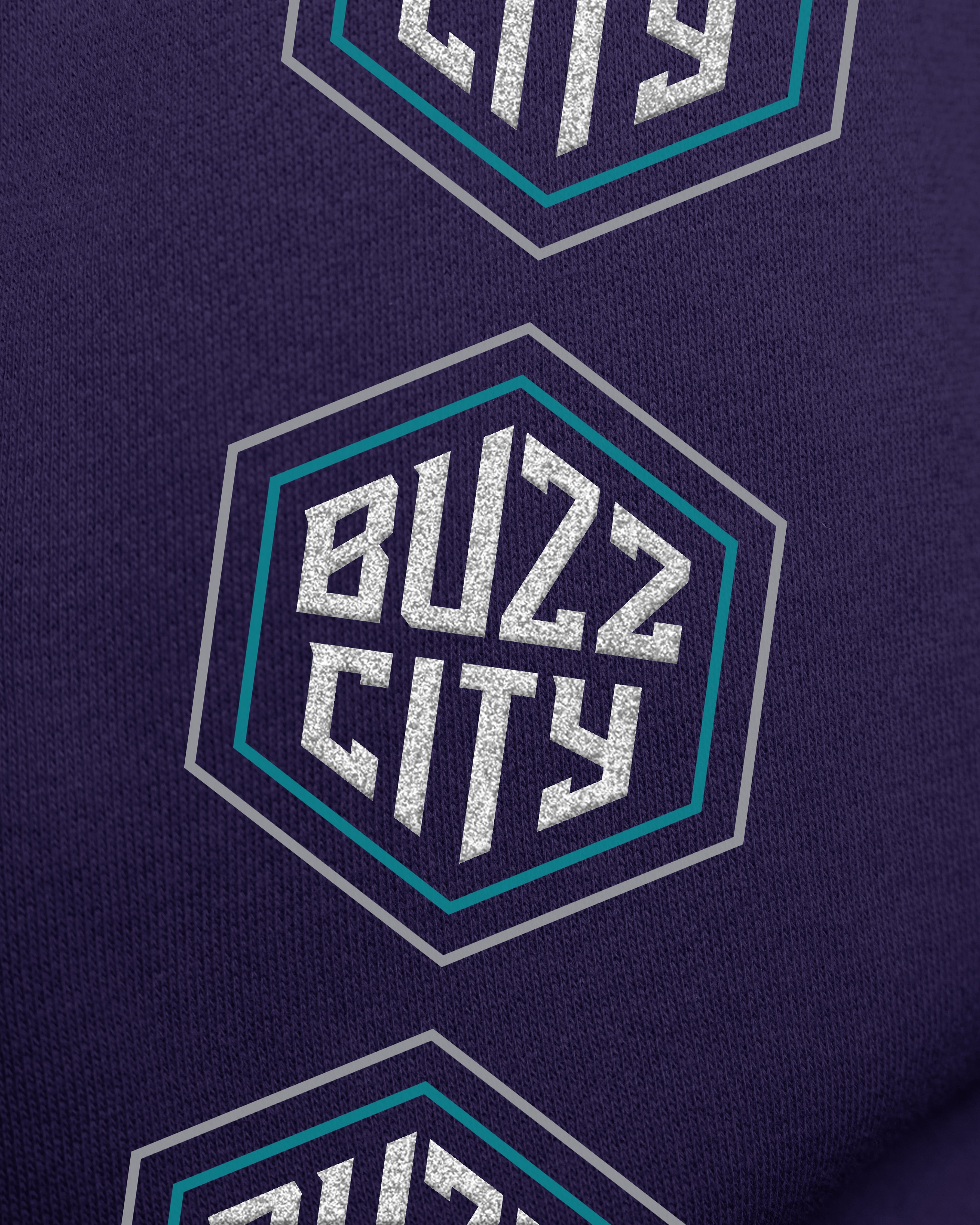 CHARLOTTE HORNETS GO BIG '47 OVERSIZED CREW WOMENS