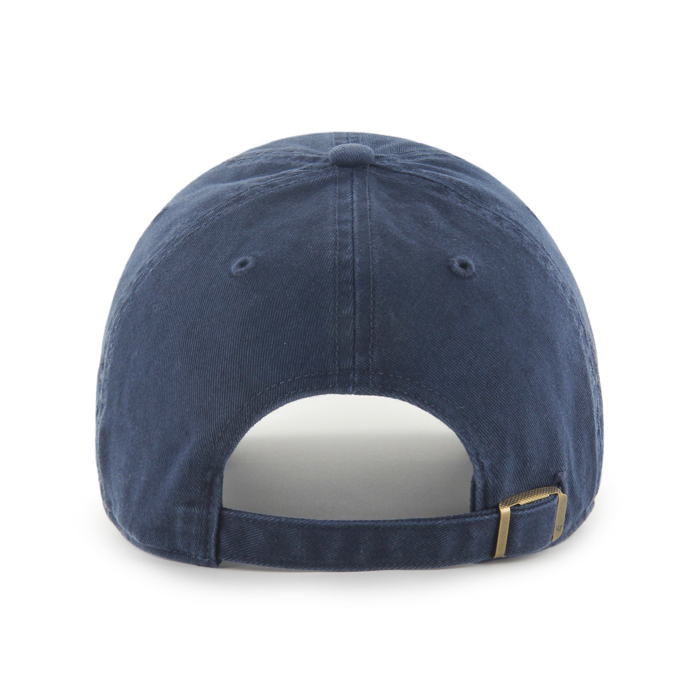 CAVALIER KING CHARLES SPAN BASE RUNNER ICON '47 CLEAN UP